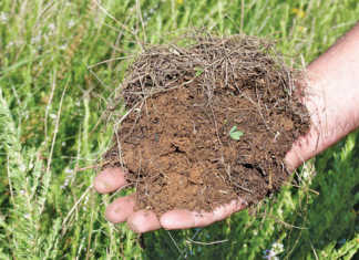How many harvests are left in your soil?