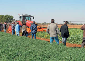 No-till and min-till operations at Vegetable Farmers Day