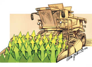 Global food demand and prices to decrease over next decade
