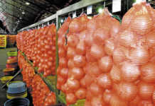 Fresh produce market agents face price-fixing charges Fresh produce market agents face price-fixing charges