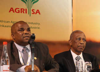 Phenias Gumede and Mathews Phosa