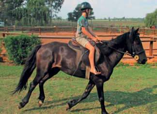 Teaching beginners to ride safely