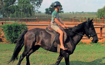 Teaching beginners to ride safely