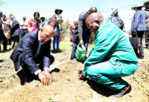 World Food Day focuses on migration impact on food security