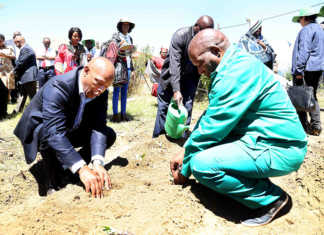 World Food Day focuses on migration impact on food security