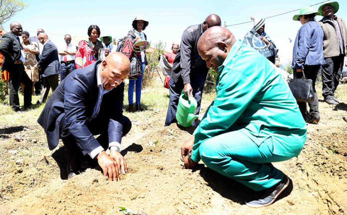 World Food Day focuses on migration impact on food security