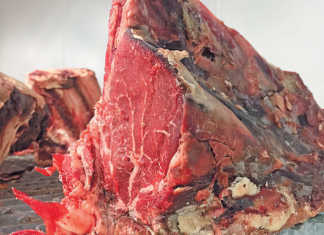 The economics of producing aged, premium beef