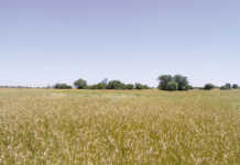 Landmark ruling in land claims case