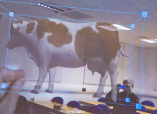 Holographic cow improves learning experience
