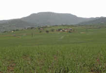 Small-scale farmer funding: some commercial options