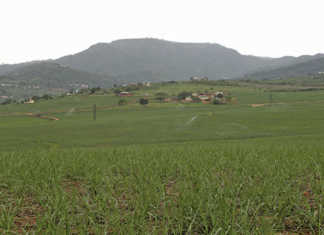 Small-scale farmer funding: some commercial options