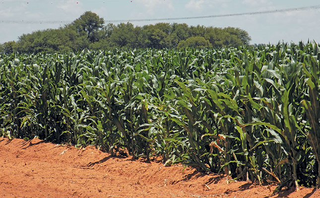 SA improves ranking on Dupont Food Security Index SA improves ranking on Dupont Food Security Index