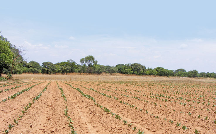 EU commits $7 million to agri development in Zimbabwe EU commits $7 million to agri development in Zimbabwe