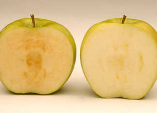 Non-browning Arctic apples now on North American shelves