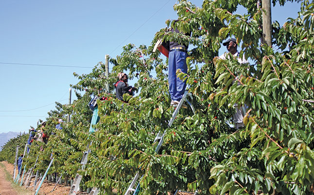 Further drop in agri employment