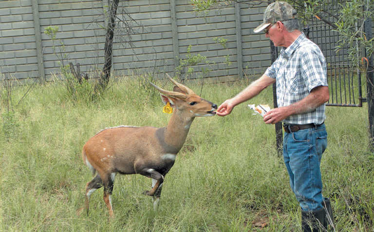 A step-by-step guide to intensive bushbuck breeding A step-by-step guide to intensive bushbuck breeding