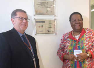 Wheat breeding platform set to boost SA wheat production