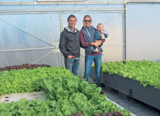 Realising a dream with urban aquaponic farming