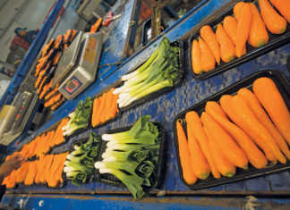 SA baby vegetables’ journey to international tables