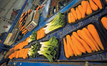 SA baby vegetables’ journey to international tables