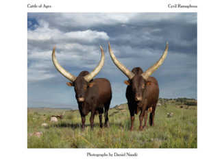 Ramaphosa launches book on Ankole breed Ramaphosa launches book on Ankole breed