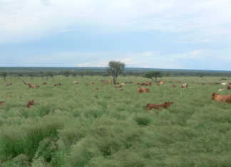 Namibian minimum wage increases 25%