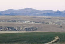 Land audit provides new figures on ownership Land audit provides new figures on ownership