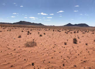 Drought-stricken Northern Cape farmers reducing herds Drought-stricken Northern Cape farmers reducing herds
