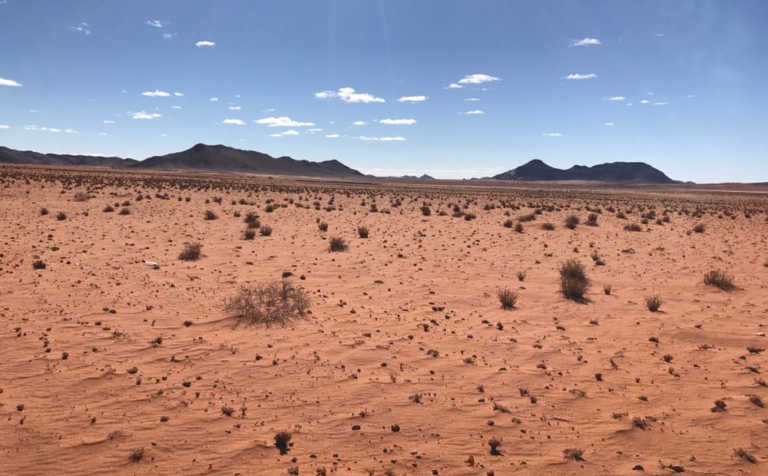 Drought-stricken Northern Cape farmers reducing herds