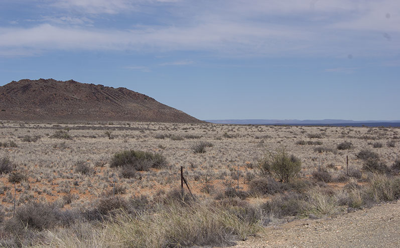 Drought: a disaster for farmworkers