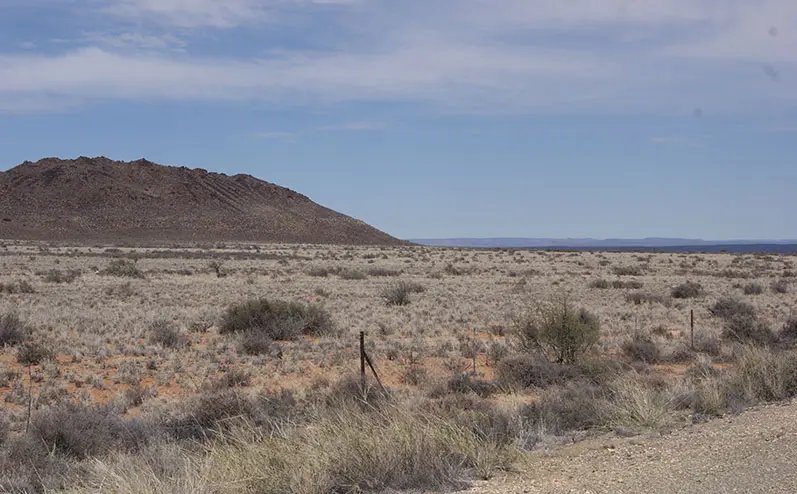 Drought: a disaster for farmworkers