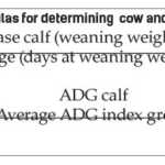 FIGURE 1: Formulas for determining  cow and herd efficiency