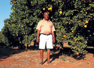 Joseph Hlongo