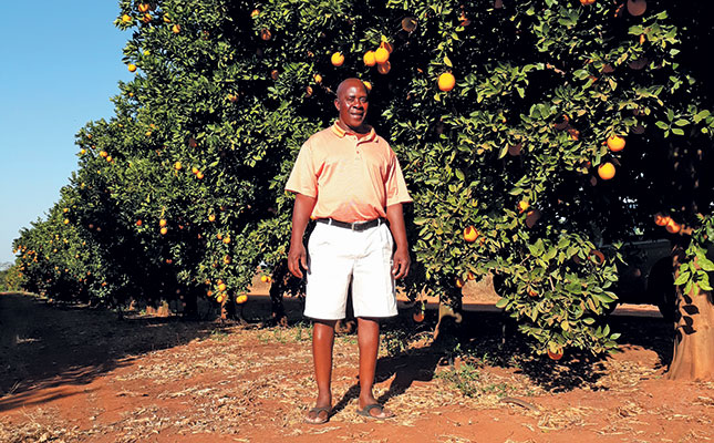 Working to improve market access for black citrus farmers Working to improve market access for black citrus farmers