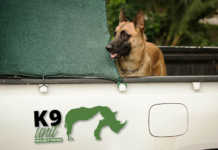 Project Rhino K9 Unit urgently seeks funding Project Rhino K9 Unit urgently seeks funding