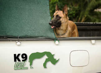 Project Rhino K9 Unit urgently seeks funding
