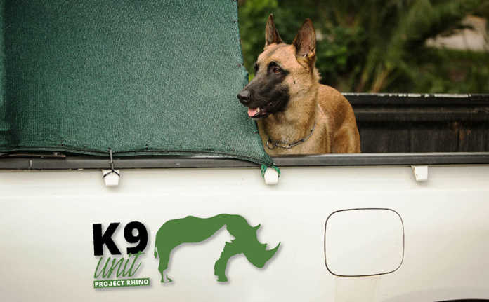 Project Rhino K9 Unit urgently seeks funding