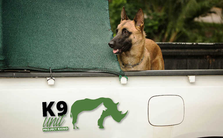 Project Rhino K9 Unit urgently seeks funding Project Rhino K9 Unit urgently seeks funding