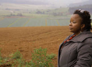 Female farmer makes top three in SAB KickStart Boost Zama Buthelezi