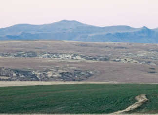 Coordinated effort needed to speed up land reform Coordinated effort needed to speed up land reform