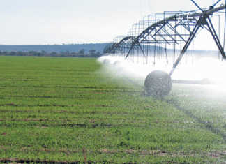 How IT can attract young people to African agri sector