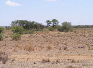 Agribusiness confidence index hits negative territory Agribusiness confidence index hits negative territory