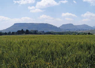 African agribusinesses seek stable investment environments