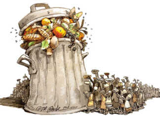 Smallholder co-operatives combatting food waste