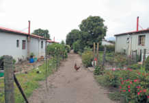 SA agriculture’s housing dilemma: a farmer’s perspective