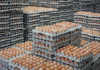 Egg price expected to rise 20% due to tight supplies
