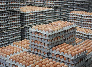 Egg price expected to rise 20% due to tight supplies