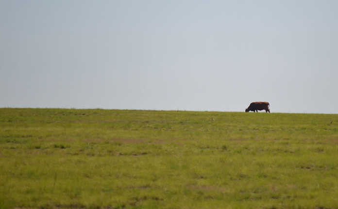 Climate change has no benefits