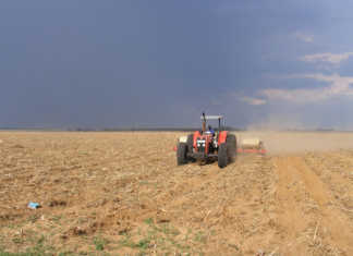 Follow-up rain urgently needed in western summer grain areas