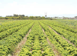 Response team investigates source of listeriosis deaths